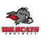 Kirchdorf Wildcats