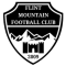Flint Mountain FC