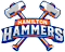 Hamilton Hammers Spielplan 2026/27 | Alle Wettbewerbe - kicker