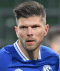 Huntelaar