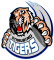 Straubing Tigers