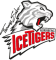Nürnberg Ice Tigers