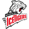 Nürnberg Ice Tigers