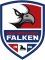 Heilbronner Falken