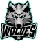 BC Wolves Vilnius