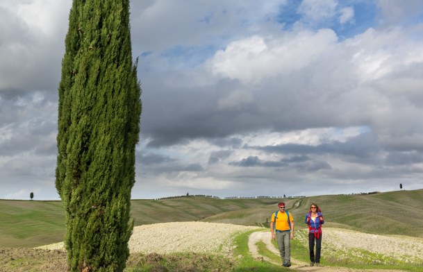 Typische Landschaft im Val d'Orcia: Schotterstraßen, Zypressen, weite offene Hügel.