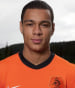 Gregory van der Wiel