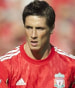 Fernando Torres