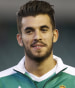 Dani Ceballos