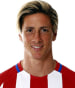 Fernando Torres