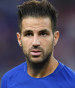 Cesc Fabregas