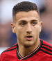 Diogo Dalot