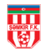 FK Shamkir