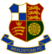 FC Wealdstone