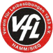 VfL Hamm/Sieg