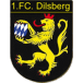 1. FC Dilsberg