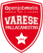 Pallacanestro Varese
