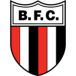 Botafogo Ribeirao Preto