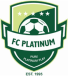 FC Platinum Zvishavane