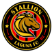 Stallion Laguna FC Binan