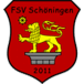 FSV Schöningen 2011