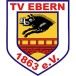 TV Ebern