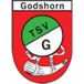 TSV Godshorn II