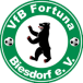 VfB Fortuna Biesdorf 1905 II