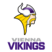 Vienna Vikings