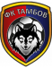 FK Tambow