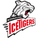 Nürnberg Ice Tigers