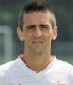 Vedad Ibisevic