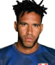 Pedro Gallese