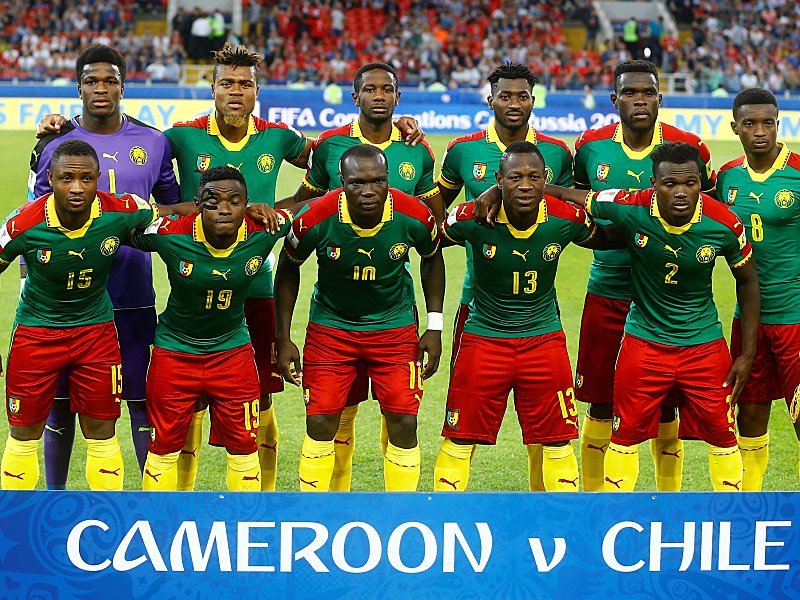 Afrikameister beim Confed Cup: Kamerun vertritt den afrikanischen Kontinent in Russland. 
