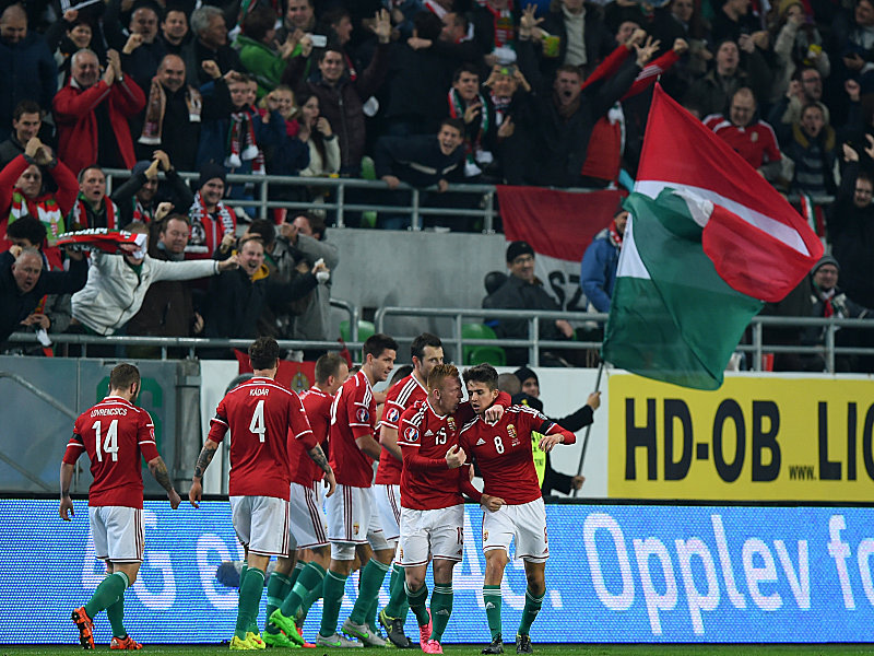 Das ungarische Team jubelt nach dem 1:0 durch Priskin.  