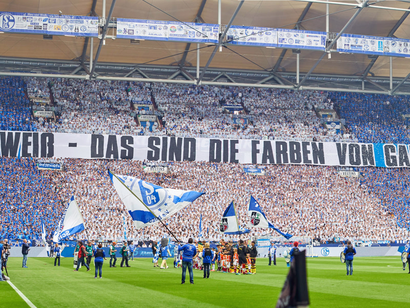 Beeindruckend: Die wei&#223;-blaue Wand stand am Sonntag hinter Derbysieger Schalke.