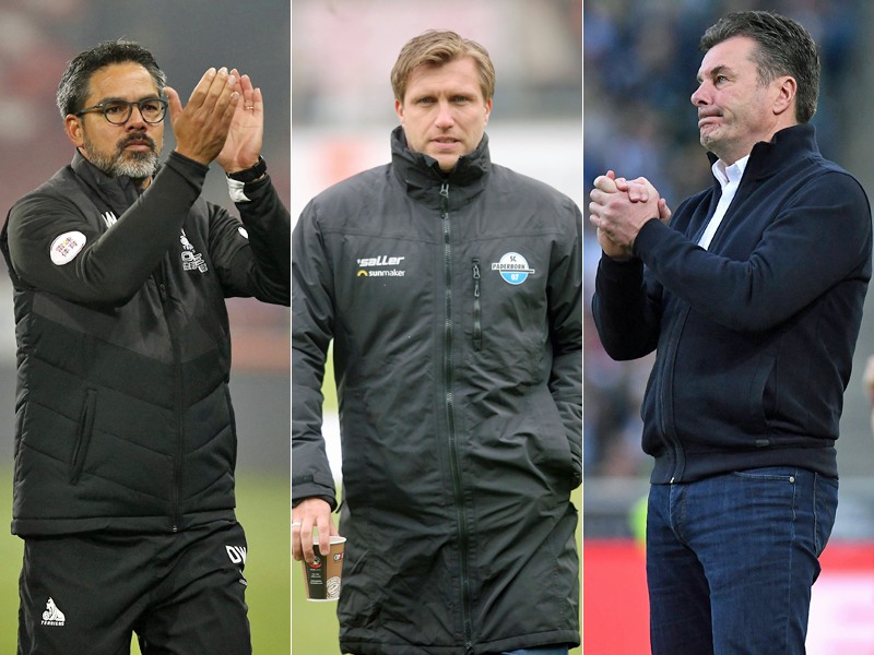 Kandidaten auf Schalke: David Wagner, Markus Kr&#246;sche und Dieter Hecking.