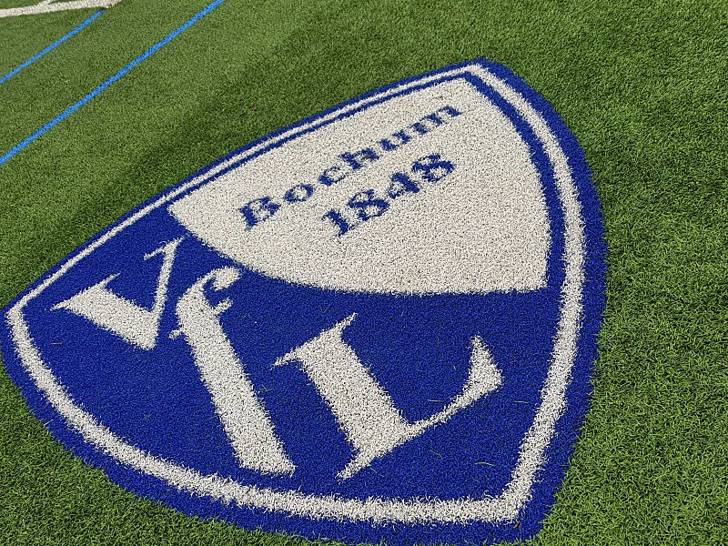 Das DFB-Sportgericht befasste sich am Freitag mit dem VfL Bochum.