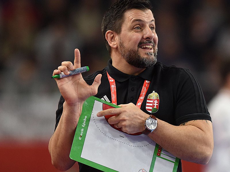 Setzte sich mit Ungarn durch: Trainer Ljubomir Vranjes.