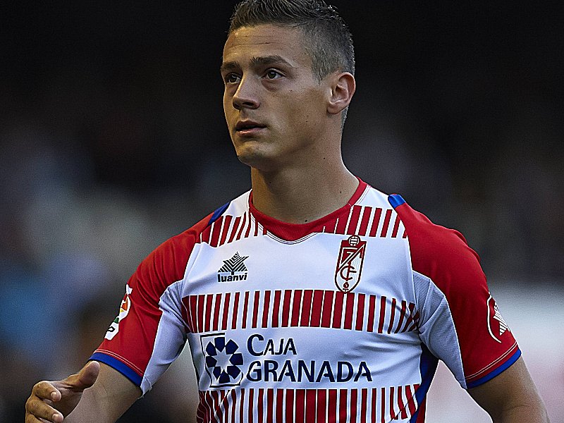 Auf dem Weg nach Gelsenkirchen? Gabriel Torje.