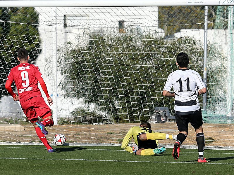 Vedad Ibisevic