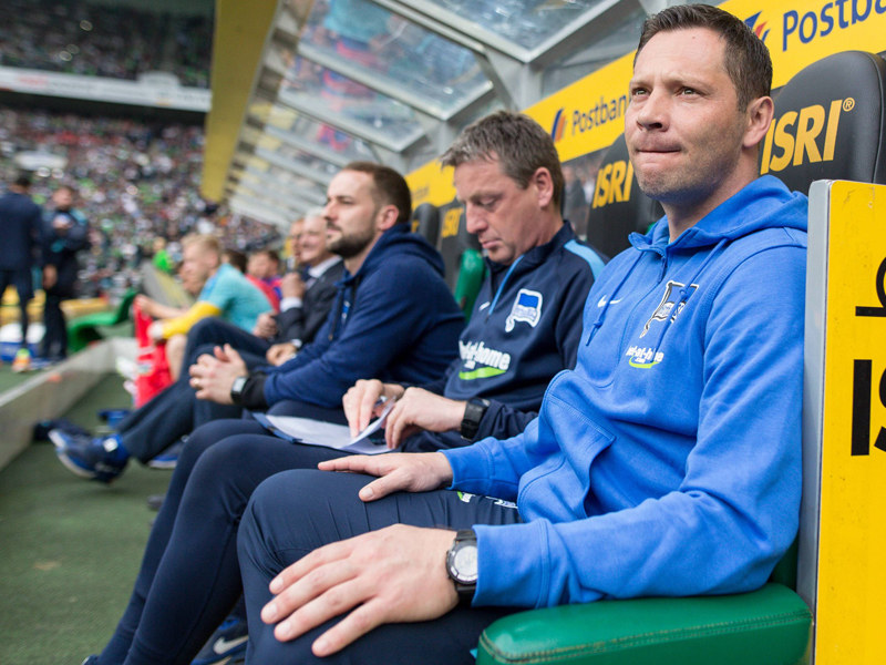 Pal Dardai, Trainer Hertha BSC