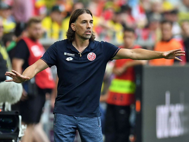 Martin Schmidt