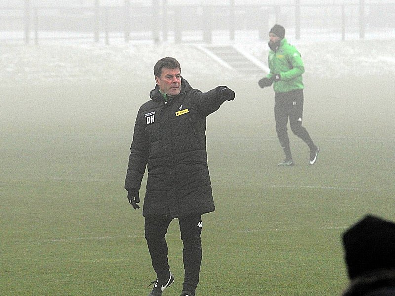 "Bayer ist ein Gegner, der uns alles abverlangen wird": Trainer Dieter Hecking.