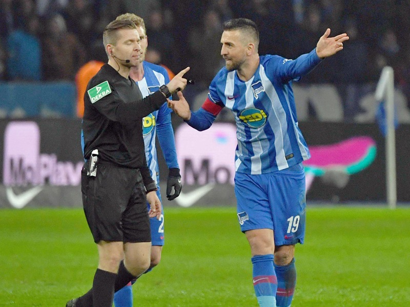 Vedad Ibisevic