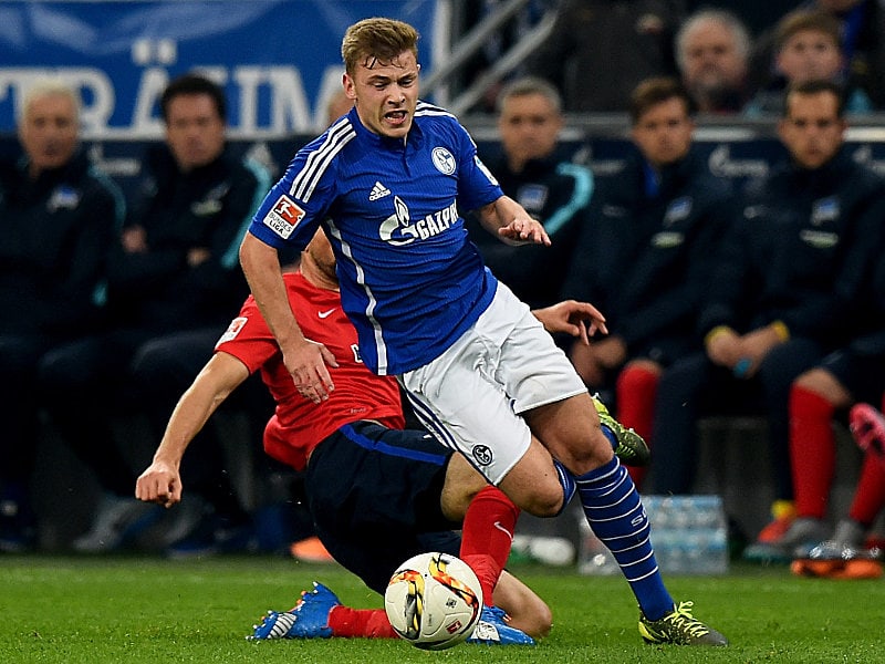 Vedad Ibisevic (h.), Max Meyer