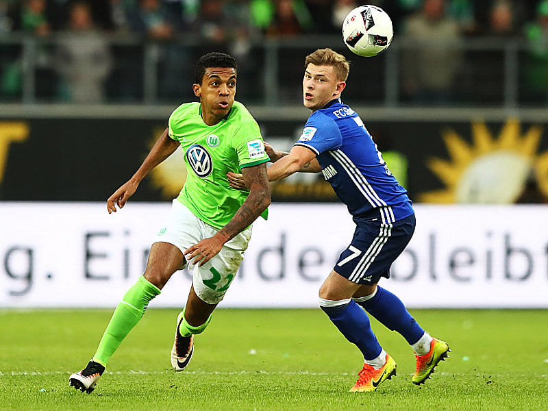 Luiz Gustavo (l.), Max Meyer
