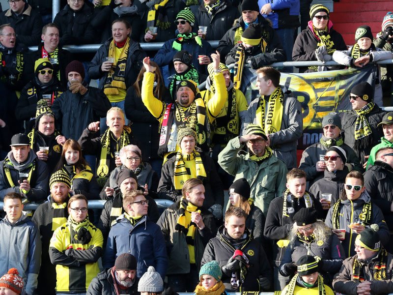 Bvb Erfurt Bvb Erfurt