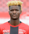 Didier Ndong