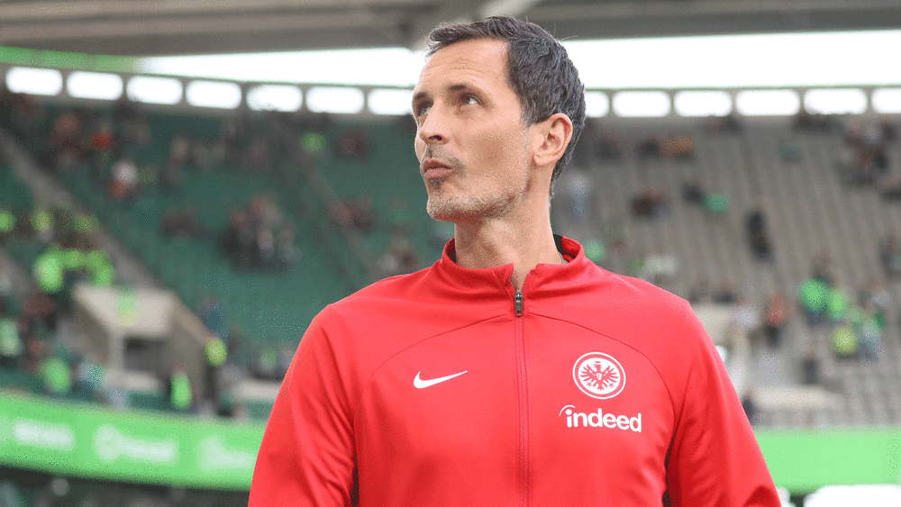 Er nahm Mario Götze in Schutz: SGE-Coach Dino Toppmöller.